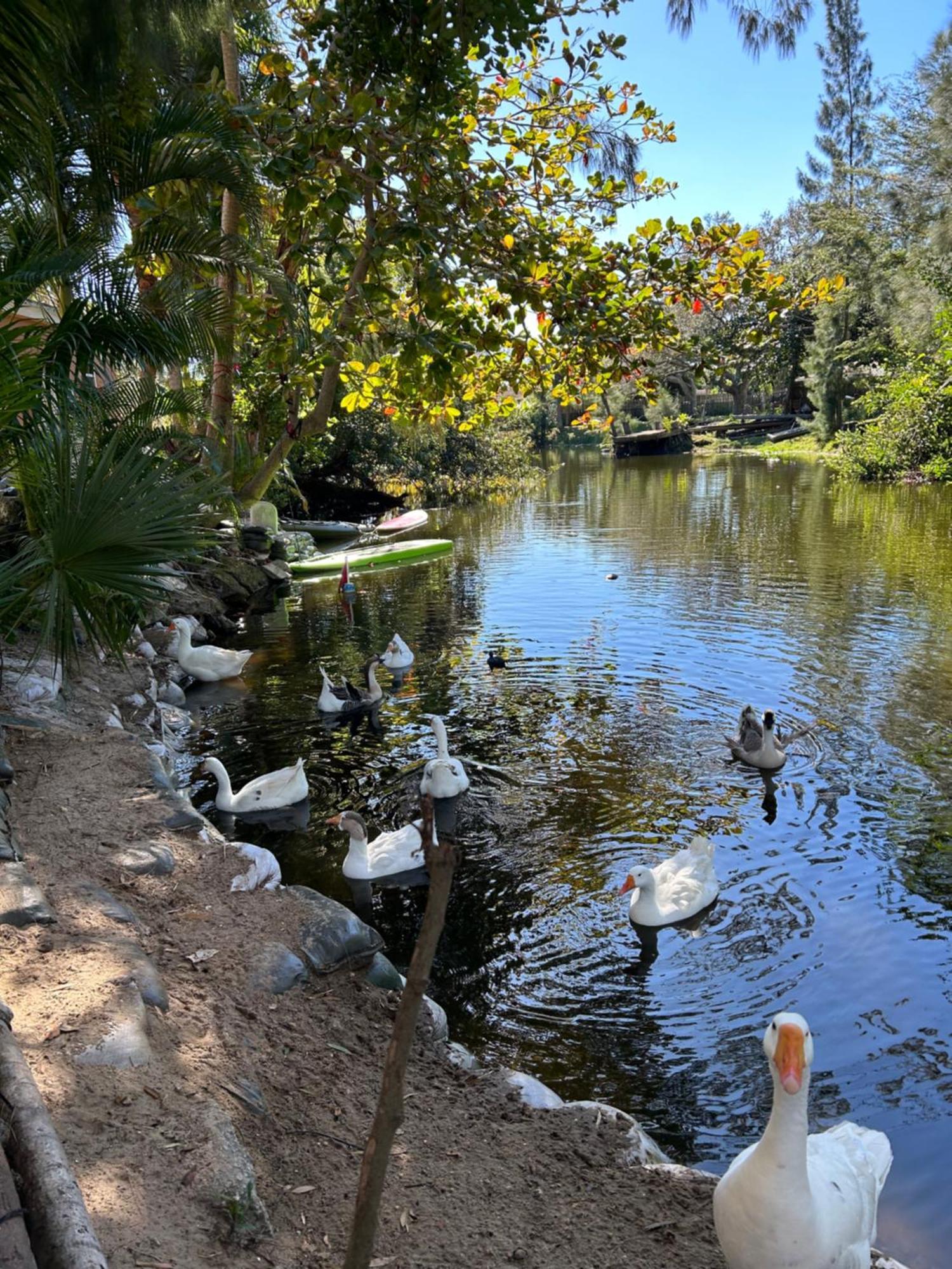The Sanctuary House West Palm Beach Buitenkant foto